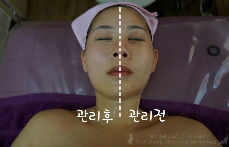 미스킨바디 이미지