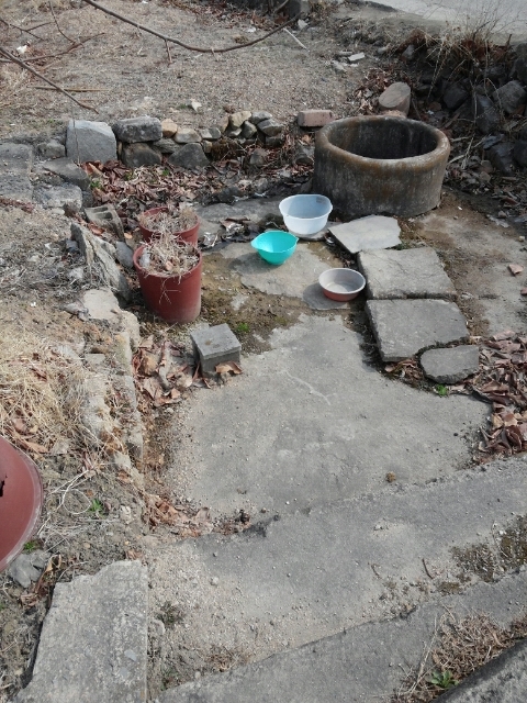 도랑가 이미지