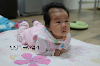밍뚱이네 이미지
