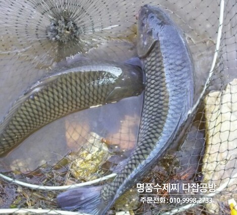 둥글원 이미지