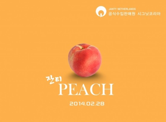 잔티 이미지