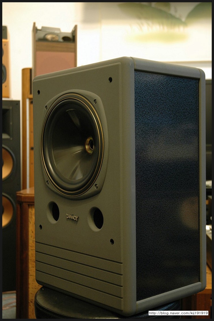 탄노이(Tannoy System) 10 DMT Studio Monitor Speakers 네이버 블로그