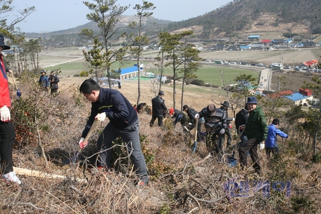 늘푸른종합환경 이미지