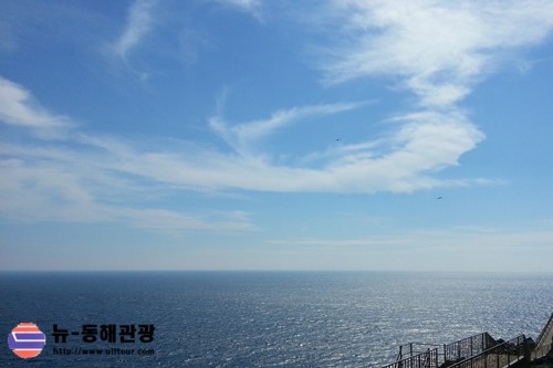 뉴바로 여행사 이미지