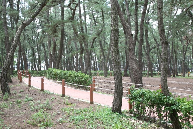 연곡주유소 이미지