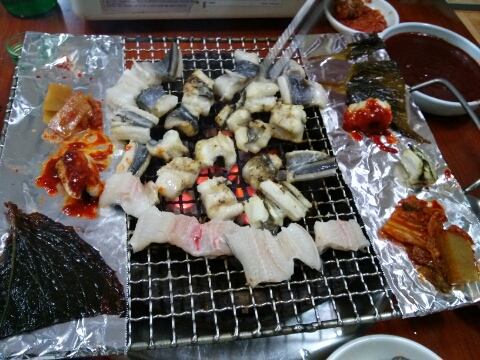 여왕곰장어 이미지