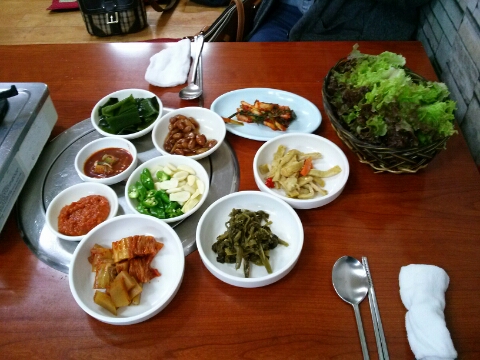 살아있네산곰장어 이미지