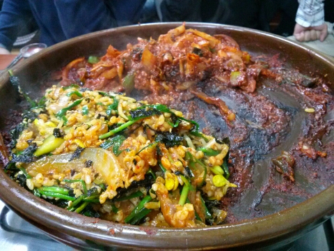 여왕곰장어 이미지