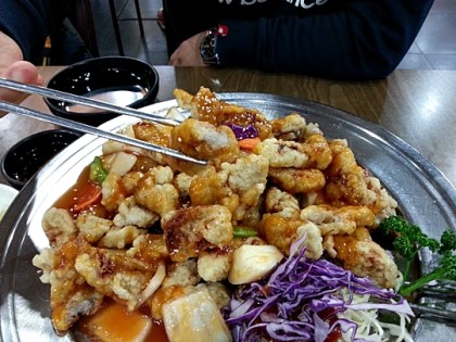 리안 이미지