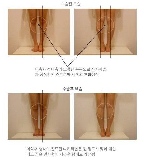 파이안의원 이미지