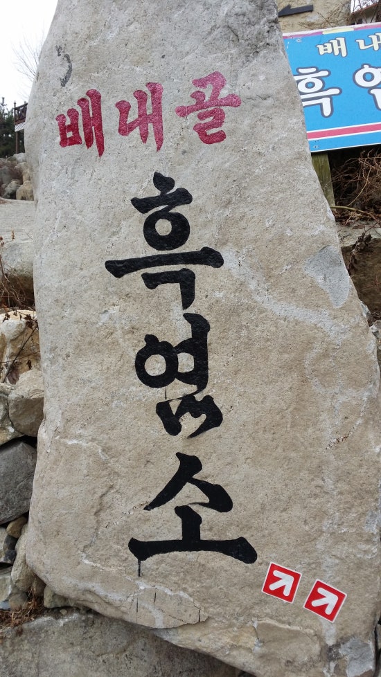 배내골흑염소 이미지
