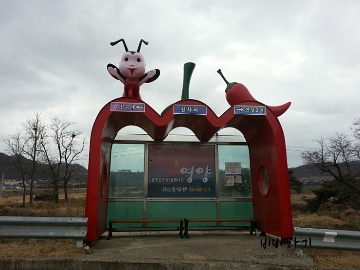 왕돌수산 이미지