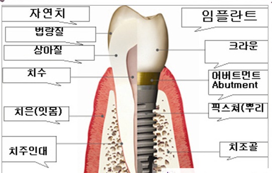 미시건치과 이미지