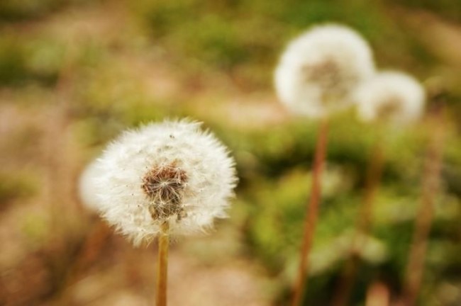 (주)산수 이미지