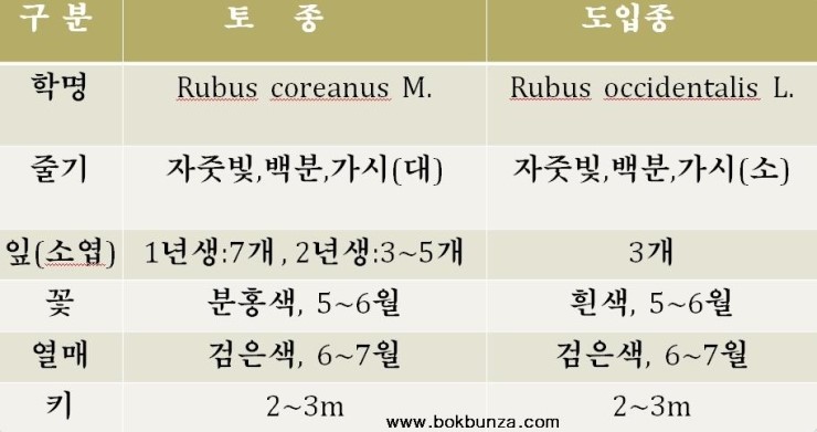 둔내농장 이미지