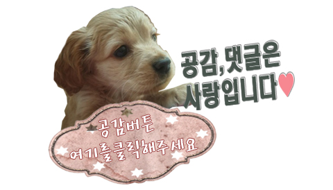 공감 이미지