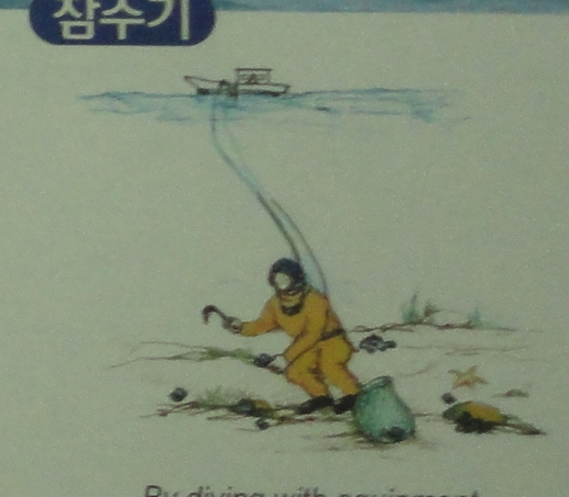 잠수기수산 이미지