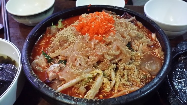 오징어를찾는사람들 이미지