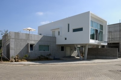 도나보나 이미지