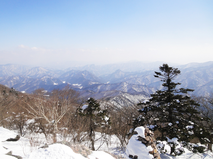 황지식당 이미지