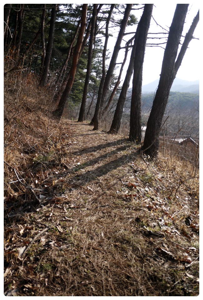 충남골동품 이미지