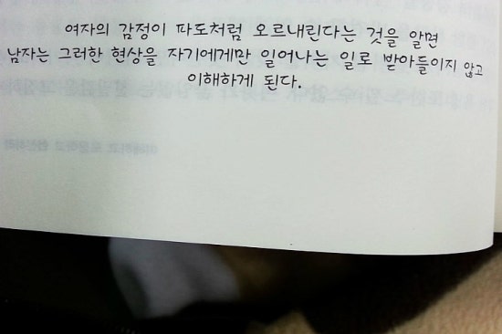 금성서점 이미지