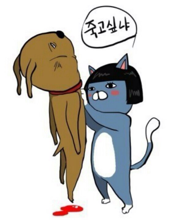 아마스빈버블티 이미지