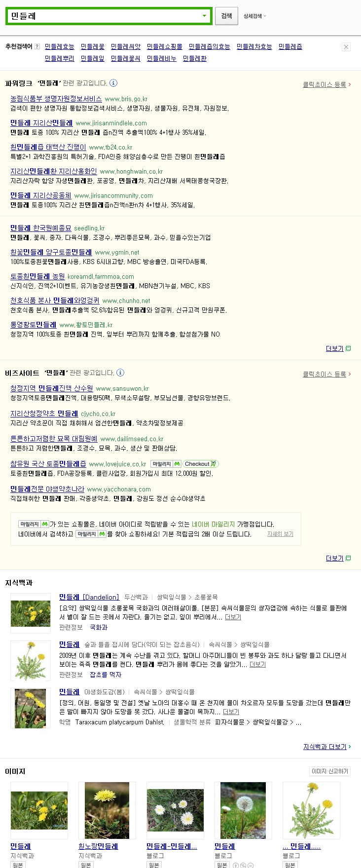 민들레패션 이미지