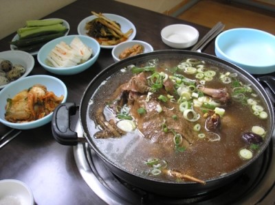 원주옻닭 이미지