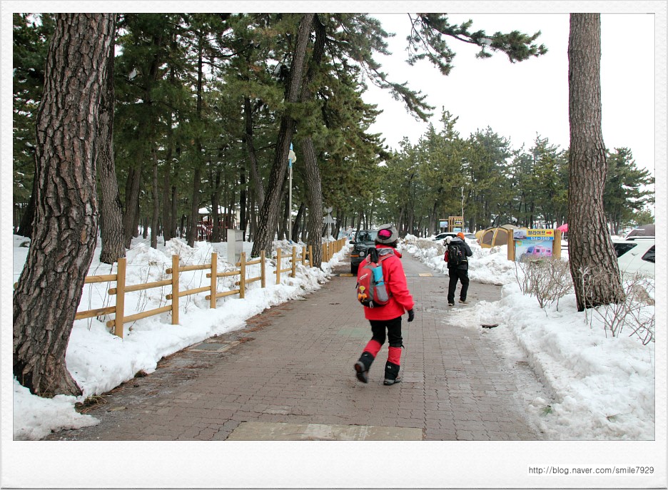 대진여행사 이미지