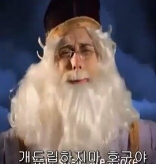 포보 이미지