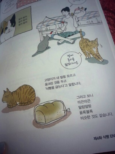 빵굽는고양이 이미지