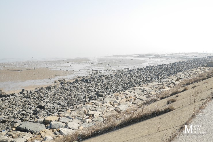 충남서산식당 이미지