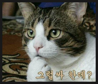 오렌지호텔 이미지