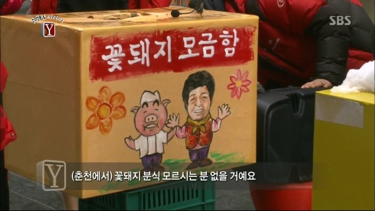 꽃돼지세상 이미지