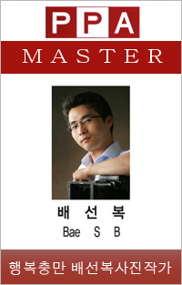 배선복 이미지