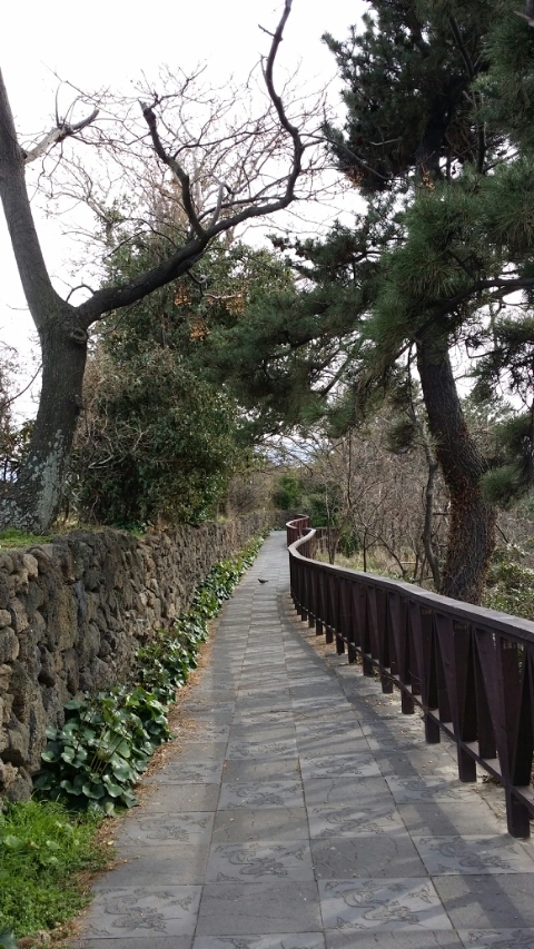 용연골 이미지