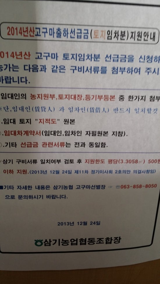 마루진 이미지