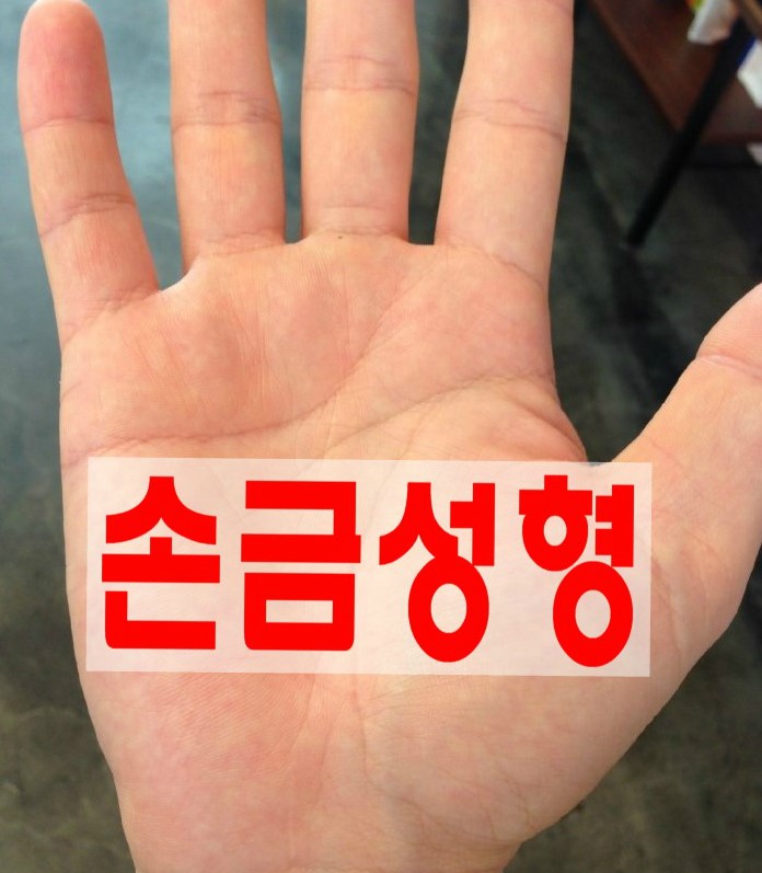 삼지창손금 M자손금 일자손금 부자손금 손금성형 손금잘보는곳 ?? : 네이버 블로그
