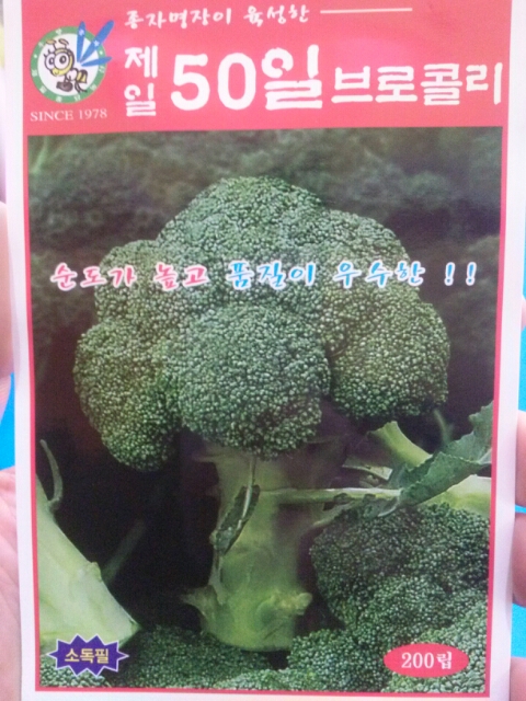 제일종묘사 이미지