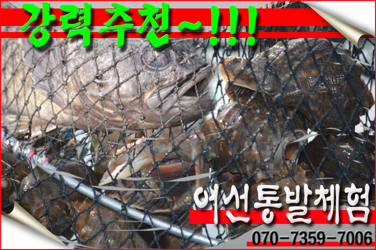 낚지통발 이미지