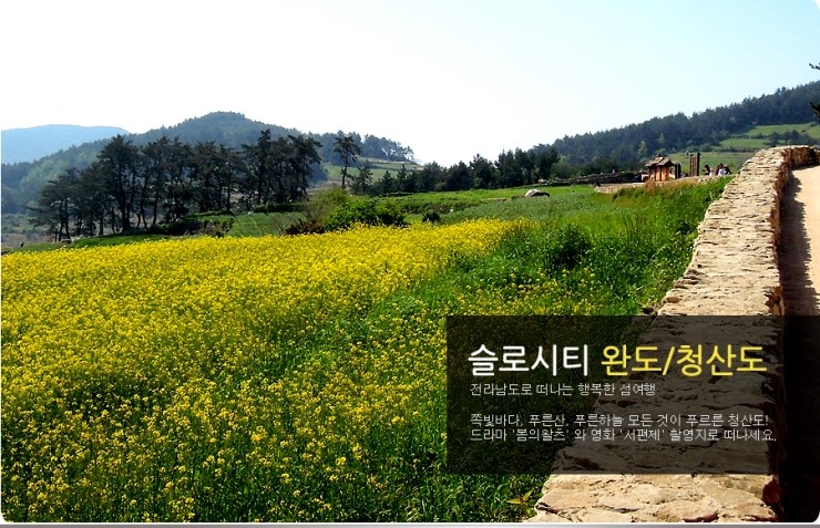 대원여행사 이미지