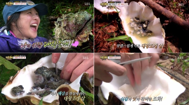 조개사냥 이미지
