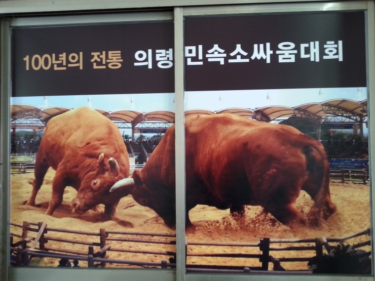 태진식당 이미지