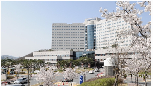 분당서울대학교병원 이미지