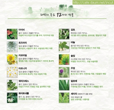 W헤어 이미지