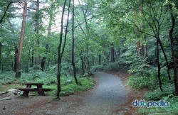아름다운 정성 이미지