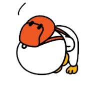 청초수물회&섭국 이미지