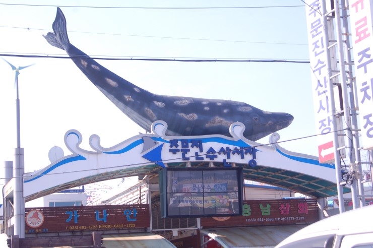 캠핑노리 이미지