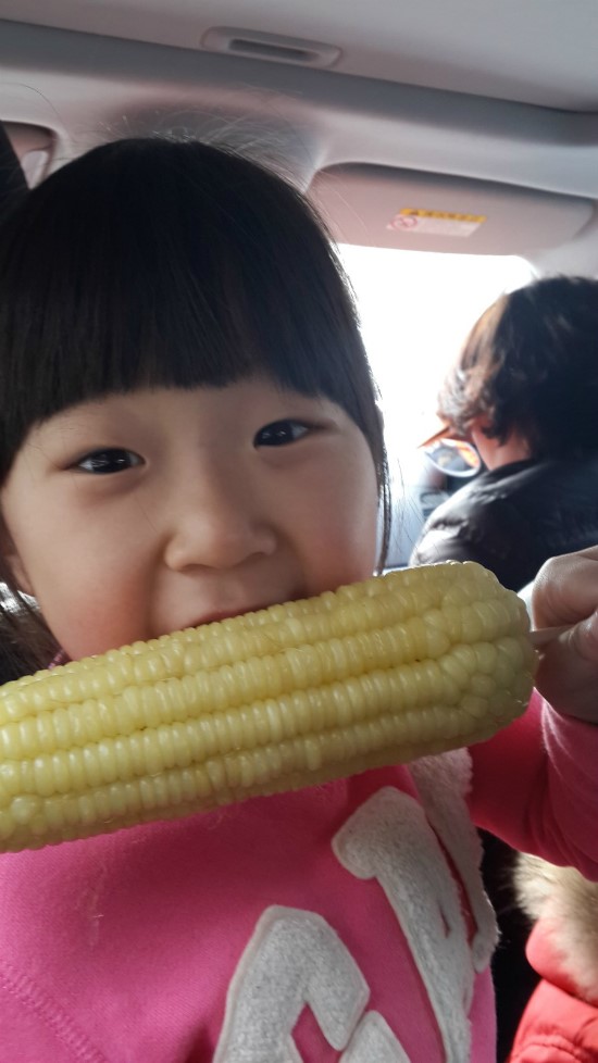 캠핑노리 이미지